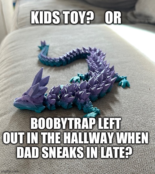 Boobytrap | KIDS TOY?    OR; BOOBYTRAP LEFT OUT IN THE HALLWAY WHEN DAD SNEAKS IN LATE? | image tagged in funny,dangerous,toys | made w/ Imgflip meme maker
