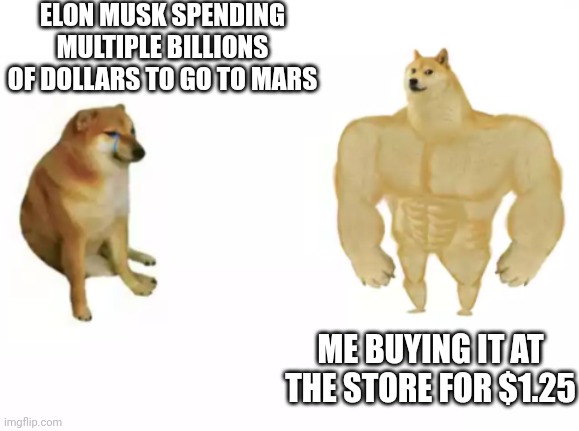 buff doge vs cheems reversed | ELON MUSK SPENDING MULTIPLE BILLIONS OF DOLLARS TO GO TO MARS; ME BUYING IT AT THE STORE FOR $1.25 | image tagged in buff doge vs cheems reversed | made w/ Imgflip meme maker