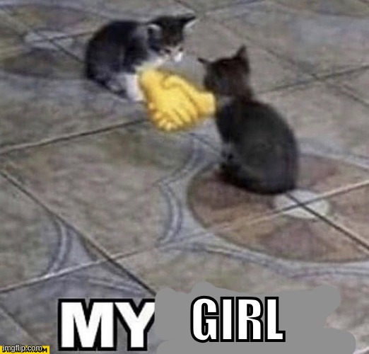 Cats shaking hands | GIRL | image tagged in cats shaking hands | made w/ Imgflip meme maker