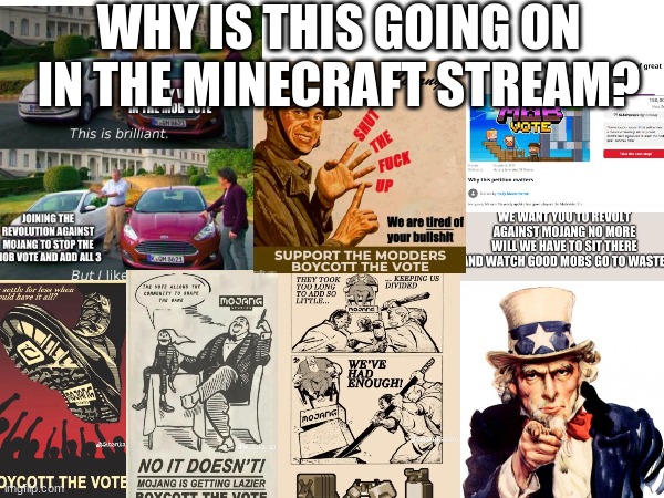 WHY IS THIS GOING ON IN THE MINECRAFT STREAM? | image tagged in minecraft,minecraft mob vote | made w/ Imgflip meme maker