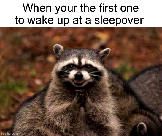 Mwahahahaha | When your the first one to wake up at a sleepover | image tagged in memes,evil plotting raccoon | made w/ Imgflip meme maker