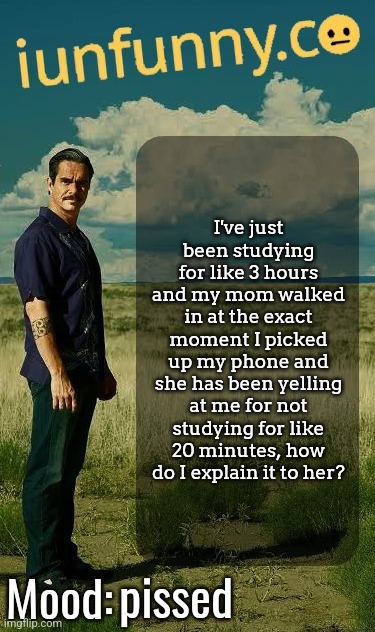 iUnFunny's Lalo Salamanca Template | I've just been studying for like 3 hours and my mom walked in at the exact moment I picked up my phone and she has been yelling at me for not studying for like 20 minutes, how do I explain it to her? pissed | image tagged in iunfunny's lalo salamanca template | made w/ Imgflip meme maker