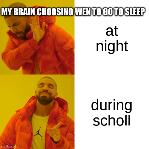 Drake Hotline Bling Meme | MY BRAIN CHOOSING WEN TO GO TO SLEEP; at night; during scholl | image tagged in memes,drake hotline bling | made w/ Imgflip meme maker