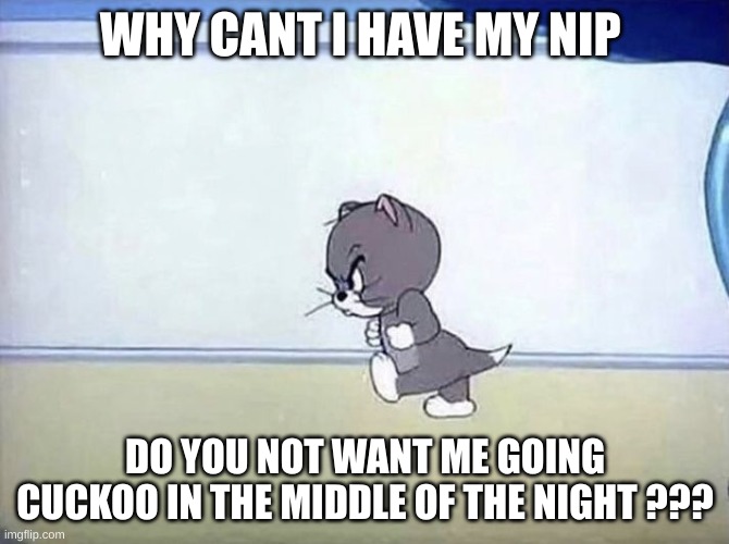Angry cat tom and jerry | WHY CANT I HAVE MY NIP; DO YOU NOT WANT ME GOING CUCKOO IN THE MIDDLE OF THE NIGHT ??? | image tagged in angry cat tom and jerry | made w/ Imgflip meme maker