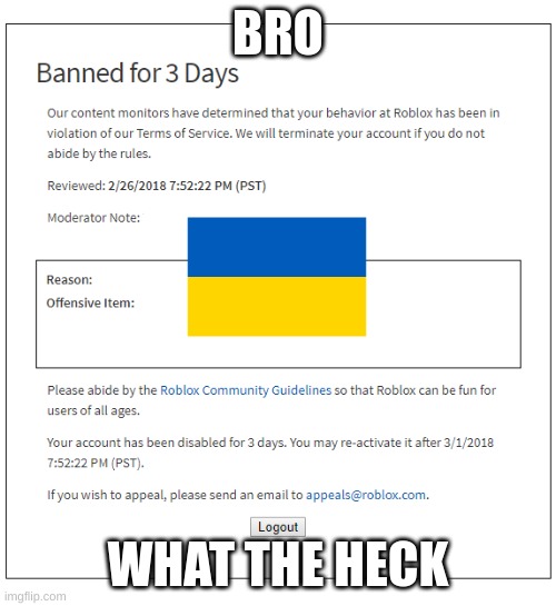 Roblox Ban (3 Days) | BRO; WHAT THE HECK | image tagged in roblox ban 3 days | made w/ Imgflip meme maker
