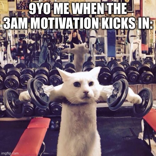 Get em gains | 9YO ME WHEN THE 3AM MOTIVATION KICKS IN: | image tagged in gym cat,3am | made w/ Imgflip meme maker