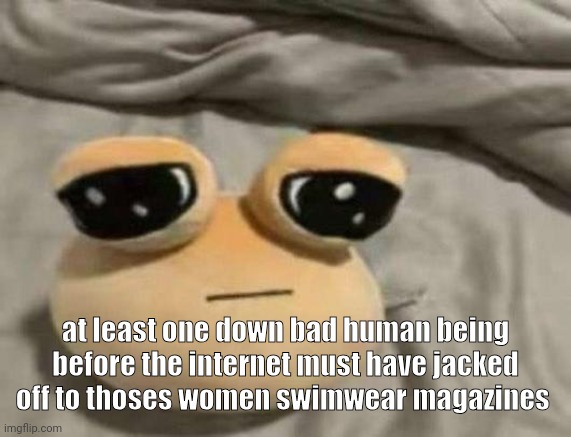 pou | at least one down bad human being before the internet must have jacked off to thoses women swimwear magazines | image tagged in pou | made w/ Imgflip meme maker