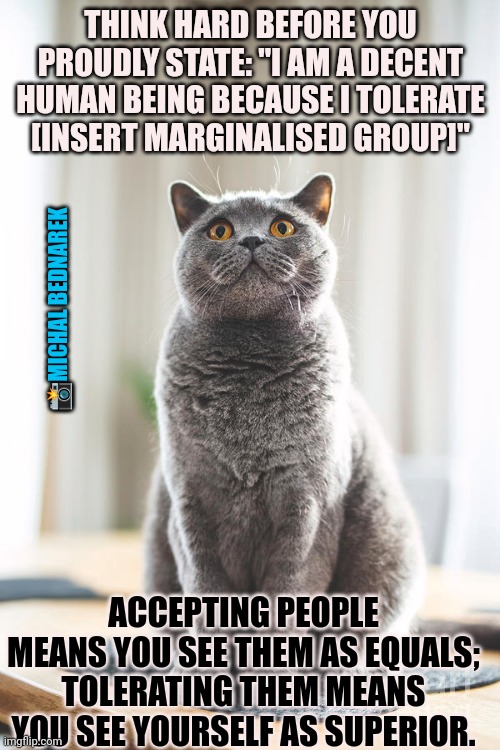 This #lolcat wonders if you tolerate other people | THINK HARD BEFORE YOU PROUDLY STATE: "I AM A DECENT HUMAN BEING BECAUSE I TOLERATE [INSERT MARGINALISED GROUP]"; 📸MICHAL BEDNAREK; ACCEPTING PEOPLE MEANS YOU SEE THEM AS EQUALS; TOLERATING THEM MEANS YOU SEE YOURSELF AS SUPERIOR. | image tagged in tolerate,acceptance,tolerance,lolcat,think about it | made w/ Imgflip meme maker