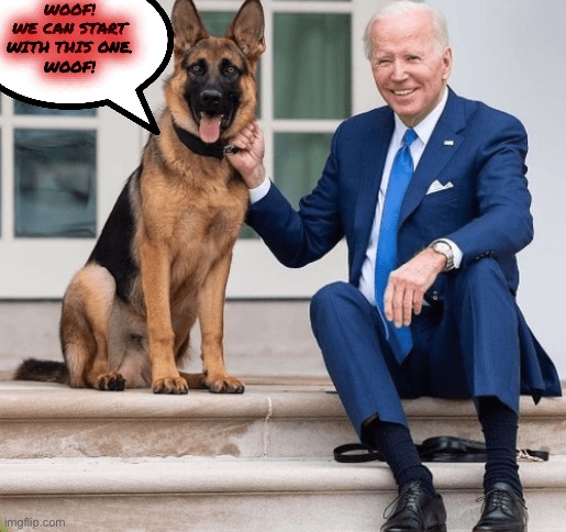 WOOF!
WE CAN START WITH THIS ONE.
WOOF! | made w/ Imgflip meme maker