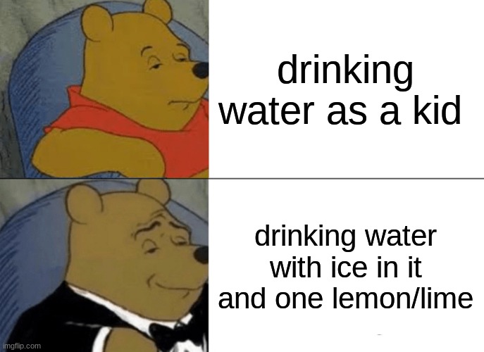 Tuxedo Winnie The Pooh Meme | drinking water as a kid; drinking water with ice in it and one lemon/lime | image tagged in memes,tuxedo winnie the pooh | made w/ Imgflip meme maker