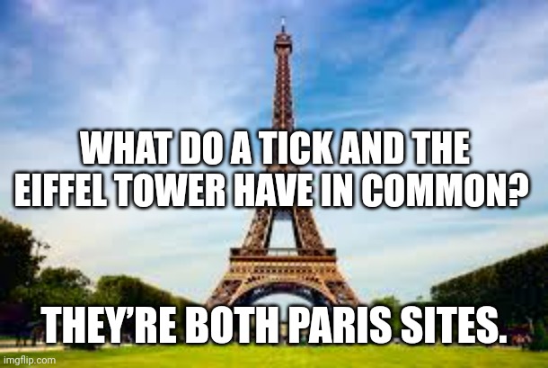 Eiffel Tower and Tick | WHAT DO A TICK AND THE EIFFEL TOWER HAVE IN COMMON? THEY’RE BOTH PARIS SITES. | image tagged in eiffel tower,dad joke,jokes,humor | made w/ Imgflip meme maker
