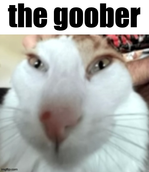 the goober | the goober | image tagged in goofy | made w/ Imgflip meme maker