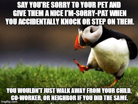 Unpopular Opinion Puffin | SAY YOU'RE SORRY TO YOUR PET AND GIVE THEM A NICE I'M-SORRY-PAT WHEN YOU ACCIDENTALLY KNOCK OR STEP ON THEM. YOU WOULDN'T JUST WALK AWAY FRO | image tagged in memes,unpopular opinion puffin,AdviceAnimals | made w/ Imgflip meme maker