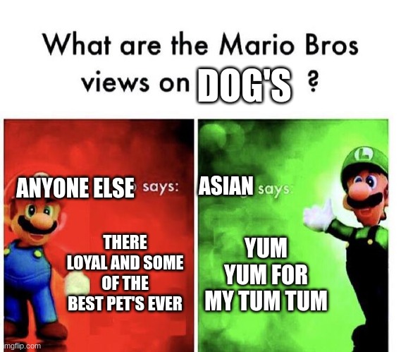 I'm not Asian,thankfully(as in the meme,I'm not racist | DOG'S; ANYONE ELSE; ASIAN; THERE LOYAL AND SOME OF THE BEST PET'S EVER; YUM YUM FOR MY TUM TUM | image tagged in mario bros views | made w/ Imgflip meme maker