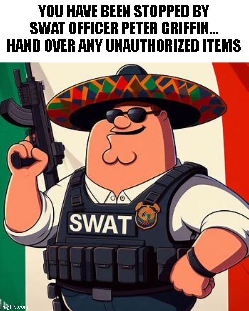 YOU HAVE BEEN STOPPED BY SWAT OFFICER PETER GRIFFIN... HAND OVER ANY UNAUTHORIZED ITEMS | made w/ Imgflip meme maker