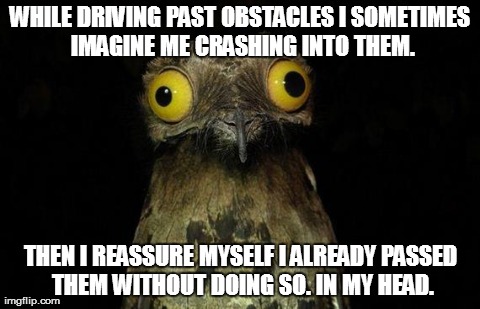 Weird Stuff I Do Potoo Meme | WHILE DRIVING PAST OBSTACLES I SOMETIMES IMAGINE ME CRASHING INTO THEM. THEN I REASSURE MYSELF I ALREADY PASSED THEM WITHOUT DOING SO. IN MY | image tagged in memes,weird stuff i do potoo,AdviceAnimals | made w/ Imgflip meme maker