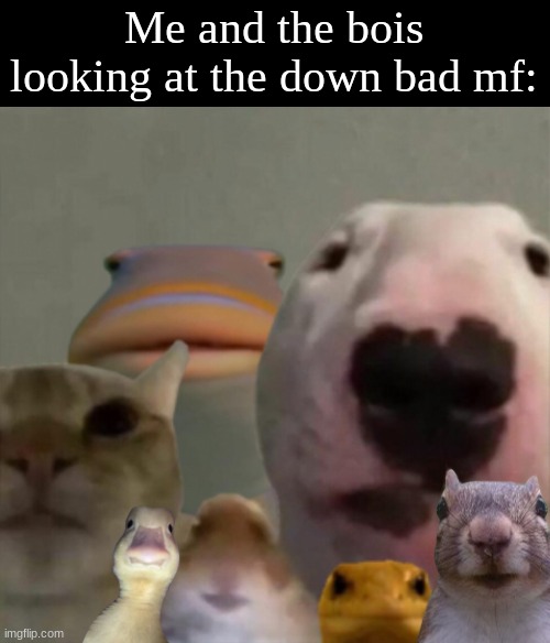 SNIP HIS BALLS | Me and the bois looking at the down bad mf: | image tagged in the council remastered | made w/ Imgflip meme maker