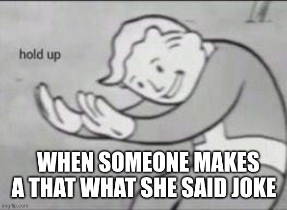 Fallout Hold Up | WHEN SOMEONE MAKES A THAT WHAT SHE SAID JOKE | image tagged in fallout hold up | made w/ Imgflip meme maker