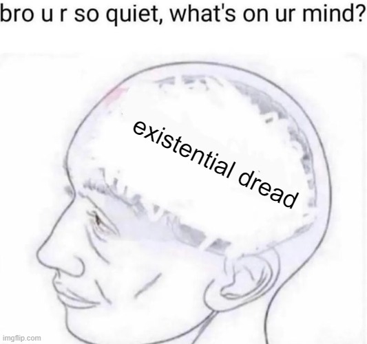 Bro you're so quiet | existential dread | image tagged in bro you're so quiet | made w/ Imgflip meme maker