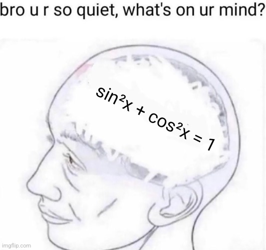 Bro you're so quiet | sin²x + cos²x = 1 | image tagged in bro you're so quiet | made w/ Imgflip meme maker