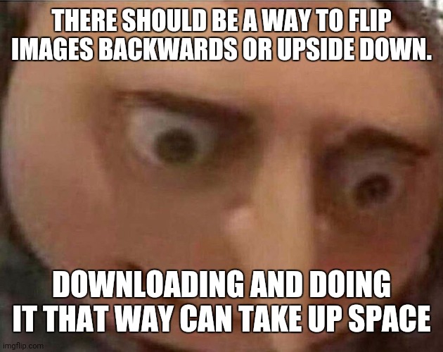 (Correction: There is a way to make it upside down, but no flipped or mirror option. | THERE SHOULD BE A WAY TO FLIP IMAGES BACKWARDS OR UPSIDE DOWN. DOWNLOADING AND DOING IT THAT WAY CAN TAKE UP SPACE | image tagged in gru meme | made w/ Imgflip meme maker