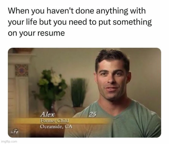 great self-description | image tagged in funny,meme,former child,resume,what a wally | made w/ Imgflip meme maker
