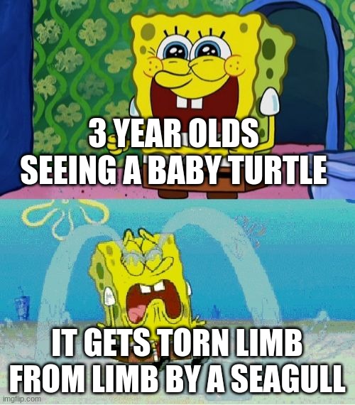spongebob happy and sad | 3 YEAR OLDS SEEING A BABY TURTLE IT GETS TORN LIMB FROM LIMB BY A SEAGULL | image tagged in spongebob happy and sad | made w/ Imgflip meme maker