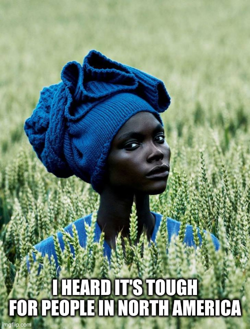 skeptical fashionista african women  | I HEARD IT'S TOUGH FOR PEOPLE IN NORTH AMERICA | image tagged in skeptical fashionista african women | made w/ Imgflip meme maker