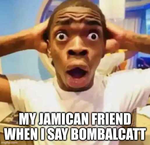Shocked black guy | MY JAMICAN FRIEND WHEN I SAY BOMBALCATT | image tagged in shocked black guy | made w/ Imgflip meme maker