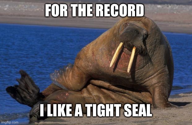 Sexy walrus | FOR THE RECORD I LIKE A TIGHT SEAL | image tagged in sexy walrus | made w/ Imgflip meme maker