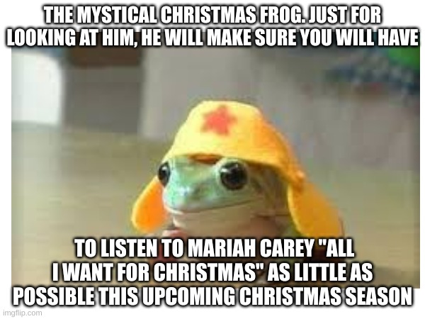 Thank you Mr. Magic Frog | THE MYSTICAL CHRISTMAS FROG. JUST FOR LOOKING AT HIM, HE WILL MAKE SURE YOU WILL HAVE; TO LISTEN TO MARIAH CAREY "ALL I WANT FOR CHRISTMAS" AS LITTLE AS POSSIBLE THIS UPCOMING CHRISTMAS SEASON | image tagged in frog,what | made w/ Imgflip meme maker