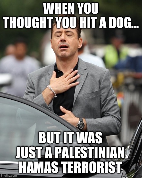 Relief | WHEN YOU THOUGHT YOU HIT A DOG…; BUT IT WAS JUST A PALESTINIAN HAMAS TERRORIST | image tagged in relief,israel,republicans,donald trump,maga,middle east | made w/ Imgflip meme maker