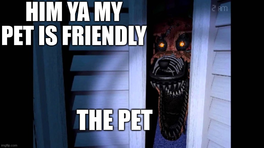 Foxy FNaF 4 | HIM YA MY PET IS FRIENDLY THE PET | image tagged in foxy fnaf 4 | made w/ Imgflip meme maker