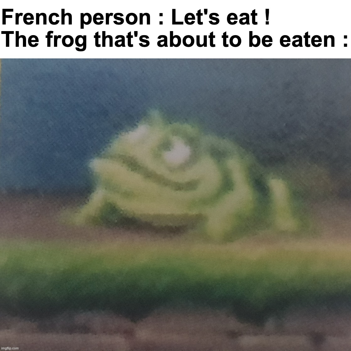 Oop | French person : Let's eat !
The frog that's about to be eaten : | image tagged in memes,funny,relatable,frog,front page plz | made w/ Imgflip meme maker