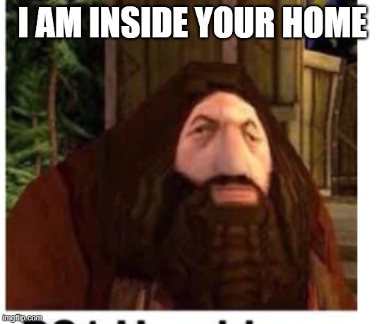 PS1 Hagrid | I AM INSIDE YOUR HOME | image tagged in ps1 hagrid | made w/ Imgflip meme maker
