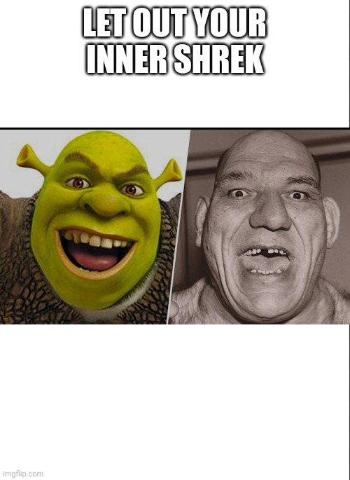 shrek meme 