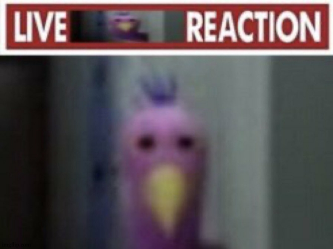 @ post above | image tagged in live opila bird reaction | made w/ Imgflip meme maker