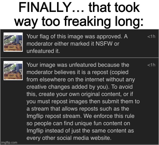 If you weren’t online an hour and a half ago, you wouldn’t understand | FINALLY… that took way too freaking long: | made w/ Imgflip meme maker