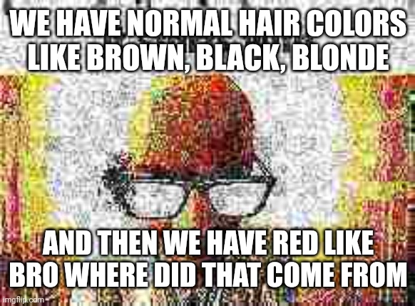 it starts with | WE HAVE NORMAL HAIR COLORS LIKE BROWN, BLACK, BLONDE; AND THEN WE HAVE RED LIKE BRO WHERE DID THAT COME FROM | image tagged in it starts with | made w/ Imgflip meme maker