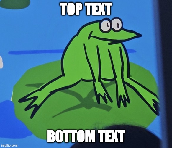 Silly Frog | TOP TEXT; BOTTOM TEXT | image tagged in frogtime | made w/ Imgflip meme maker