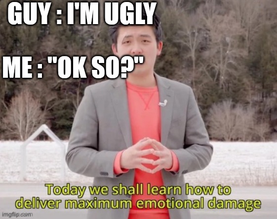 maximum emotional damage | GUY : I'M UGLY; ME : "OK SO?" | image tagged in maximum emotional damage | made w/ Imgflip meme maker
