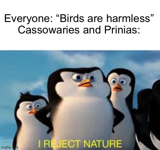 Cassowaries are literal dinosaurs… | Everyone: “Birds are harmless”
Cassowaries and Prinias: | image tagged in i reject nature | made w/ Imgflip meme maker