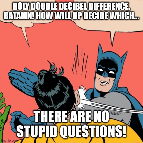 Batman slapping Robin | HOLY DOUBLE DECIBEL DIFFERENCE, BATAMN! HOW WILL OP DECIDE WHICH... THERE ARE NO STUPID QUESTIONS! | image tagged in batman slapping robin | made w/ Imgflip meme maker