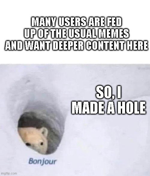 Hole-some meme here. | MANY USERS ARE FED UP OF THE USUAL MEMES AND WANT DEEPER CONTENT HERE; SO, I MADE A HOLE | image tagged in bonjour | made w/ Imgflip meme maker