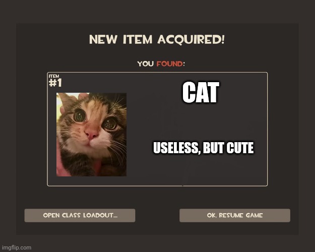 You got tf2 shit | CAT; USELESS, BUT CUTE | image tagged in you got tf2 shit,cats,cat,tf2,team fortress 2 | made w/ Imgflip meme maker