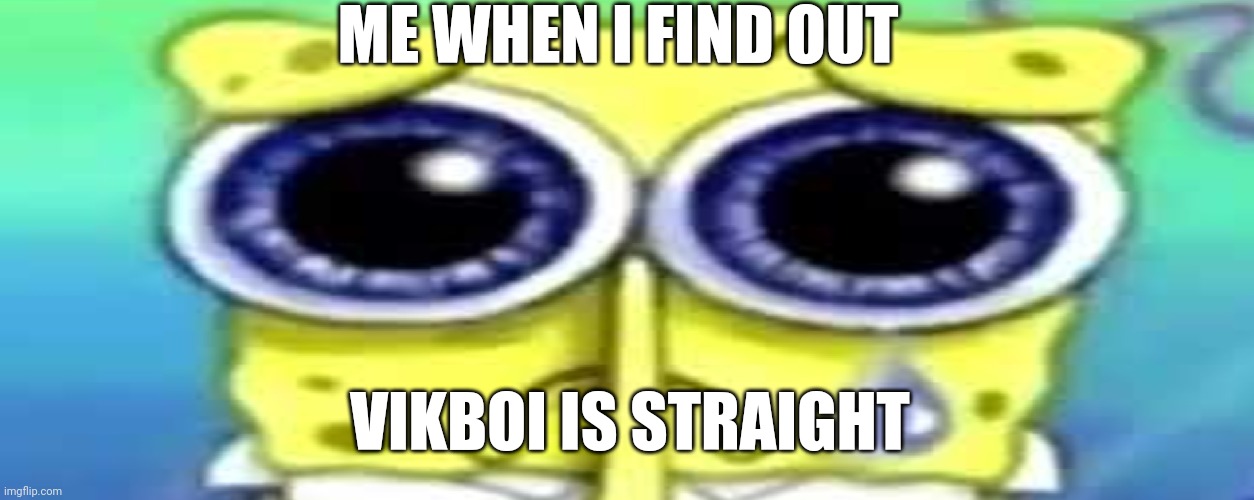 Sad Spong | ME WHEN I FIND OUT; VIKBOI IS STRAIGHT | image tagged in sad spong | made w/ Imgflip meme maker