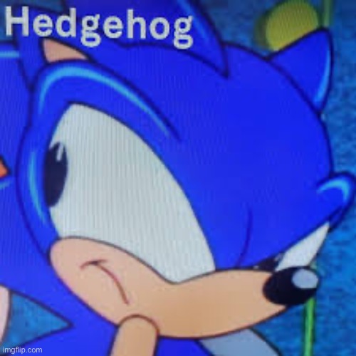 Hedgehog | image tagged in hedgehog | made w/ Imgflip meme maker