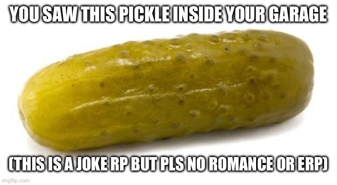 Pickle | YOU SAW THIS PICKLE INSIDE YOUR GARAGE; (THIS IS A JOKE RP BUT PLS NO ROMANCE OR ERP) | image tagged in pickle | made w/ Imgflip meme maker
