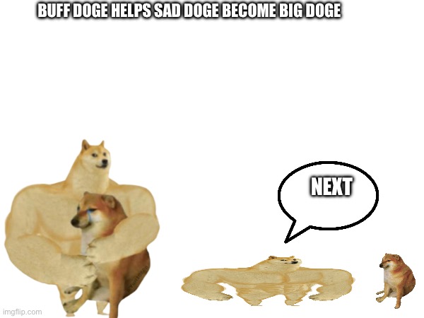 BUFF DOGE HELPS SAD DOGE BECOME BIG DOGE; NEXT | image tagged in doge,encouragement | made w/ Imgflip meme maker