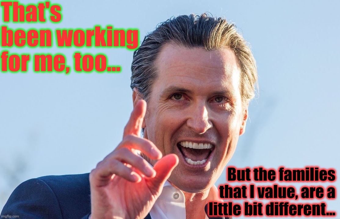 Insane Idiot Gavin Newsom | That's been working for me, too... But the families that I value, are a little bit different... | image tagged in insane idiot gavin newsom | made w/ Imgflip meme maker